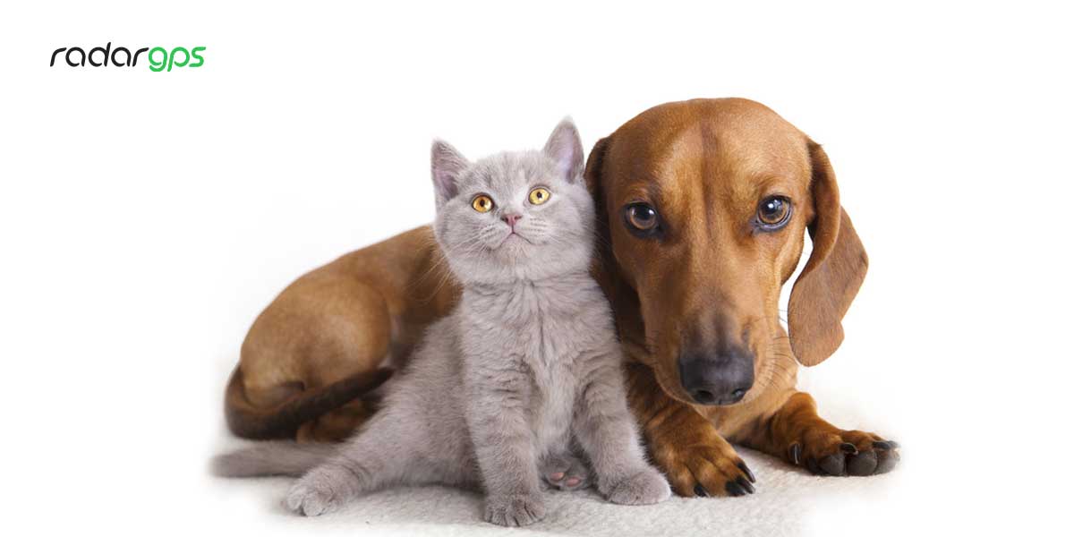 ردیاب حیوانات خانگی بهترین راه جلوگیری از سرقت سگ و گربه
